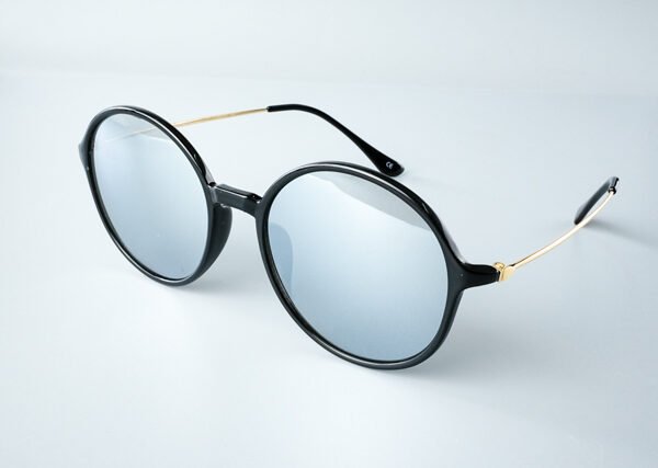 GS10 Sunglass Silver